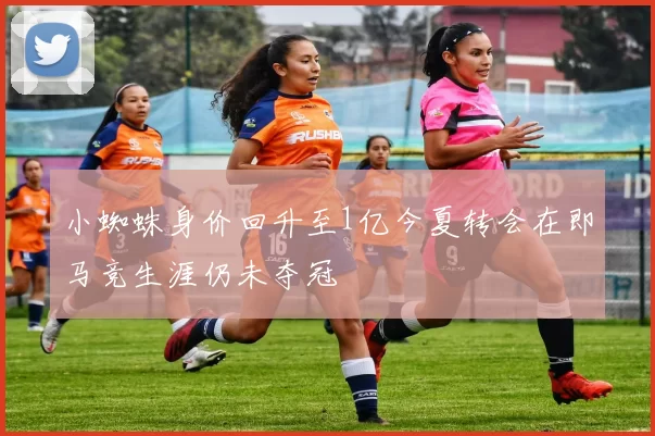 小蜘蛛身价回升至1亿今夏转会在即马竞生涯仍未夺冠